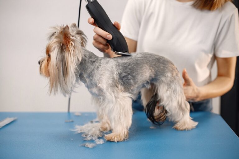 The Ultimate Pet Hair Clipper Guide